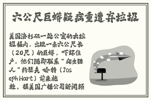 久久伊人精品一区二区三区