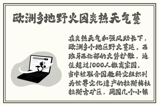泷泽萝拉快播种子