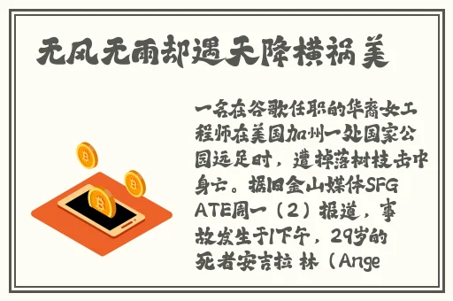 火影忍者正能量网站链接免费
