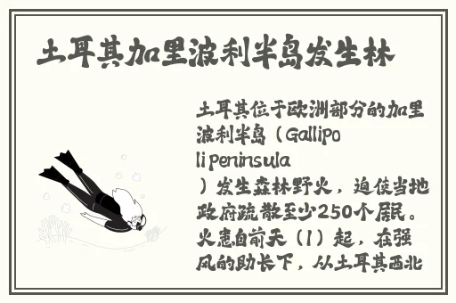 丁香五月社区
